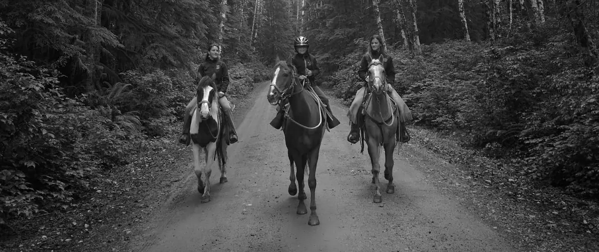 Horseback riders on a forest trail near Jamestown